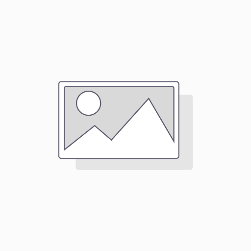 Korona Box Files
